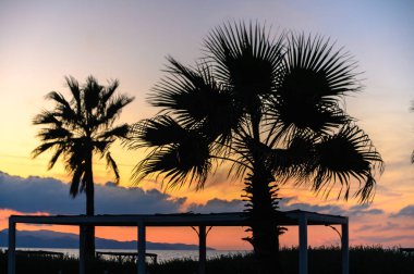 Bir palmiye ağacının silüeti Akdeniz ve Günbatımı 2 'nin arka planında