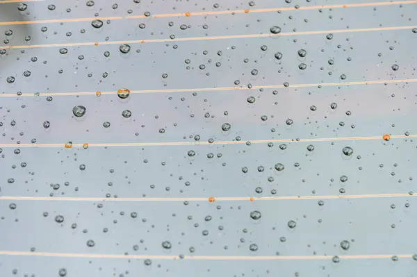 Krople Deszczu Przedniej Szybie — Zdjęcie stockowe