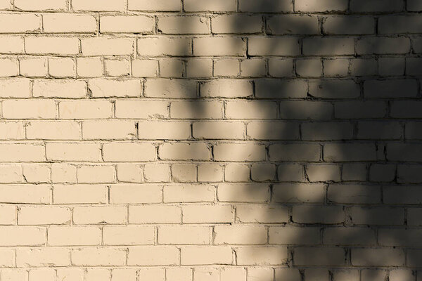 Shadows from foliage on a brick wall