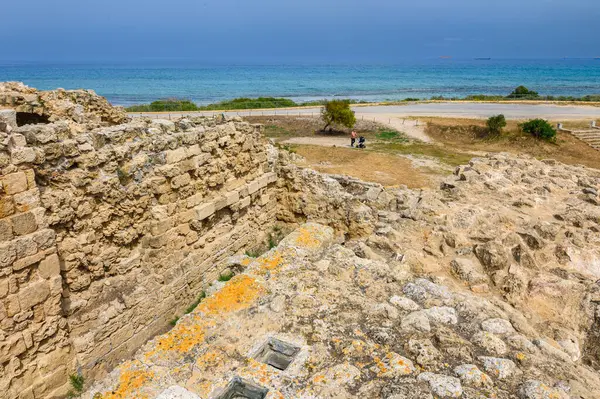 Salamis Kypros Huhtikuu 2024 Antiikin Kreikan Rauniot Pylväät Salamis Kypros — kuvapankkivalokuva