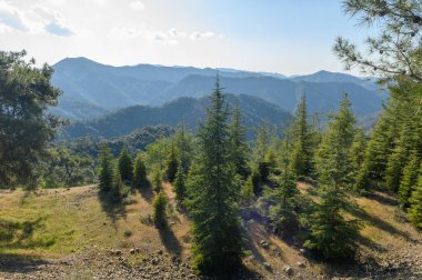 Troodos Dağlarının Manzaralı Görünümü