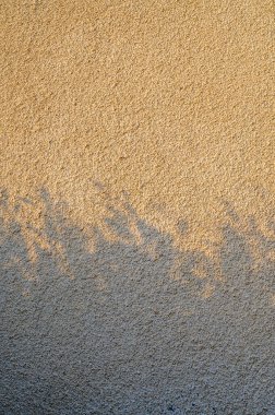 Gün batımında dalların gölgesi dekoratif alçı üzerinde