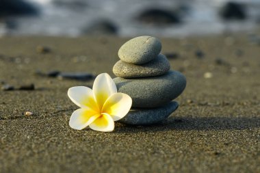 Zen meditasyon spa gevşeme arka plan - retro vintage etkisi filtre uygulanmış hippi tarzı görüntü frangipani plumeria çiçek ile dengeli taş yığınının yakın çekim deniz kumsalda