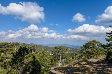 Troodos dağları, Larnaca bölgesi, Kuzey Kıbrıs doğası