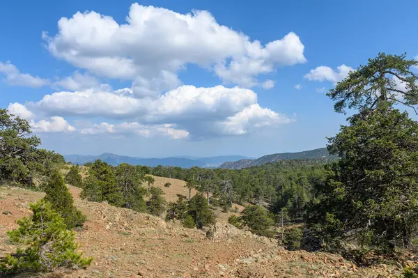 Gökyüzüne karşı dağların manzarası, Olimpos Dağı, Kıbrıs