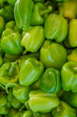 A close-up image showing a pile of green bell peppers, with their vibrant color and smooth, shiny skin. They are stacked neatly, showing their plump, rounded shapes.