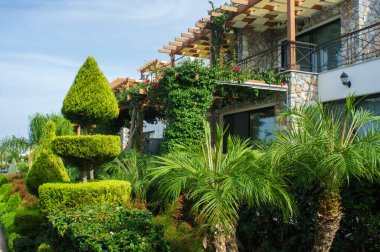 A hillside villa showcases beautiful architecture intertwined with vibrant greenery, featuring well-maintained tropical plants and artistic hedges under a bright sky. clipart