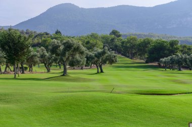 Altın güneş ışığı, ağaçlarla benekli geniş yeşil golf sahasını nazikçe yıkıyor ve uzak, yuvarlanan dağların zeminine karşı pitoresk bir manzara yaratıyor..