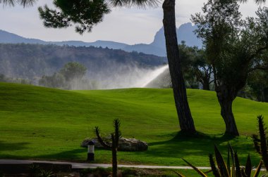 Güneş ışığı ağaçların arasından süzülüyor. Sis, yemyeşil golf sahasını yavaşça sarıyor. Arka planda görünen uzak dağlarla sakin bir atmosfer yaratıyor..