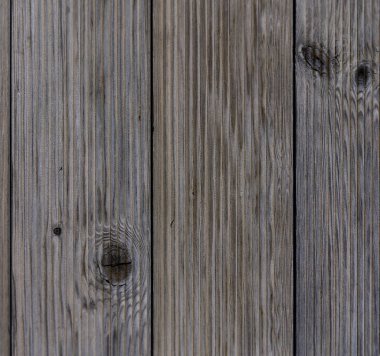 Detailed wooden planks display unique textures and grains, inviting a sense of warmth and natural beauty. clipart