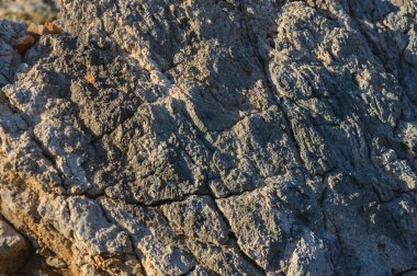 Natural textures of a weathered rock reveal intricate designs shaped by time and elements along the coastline. clipart