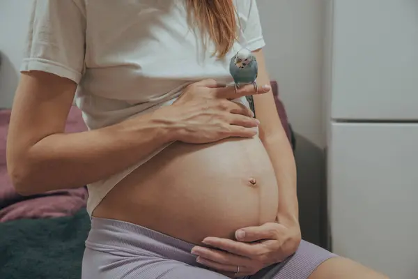 Pregnant caucasian woman sitting with parrot on a finger.