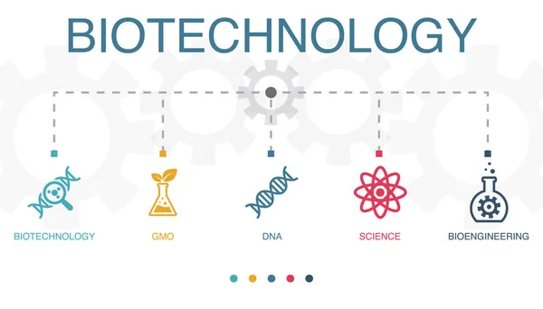 Biotechnologie Gmo Dna Věda Bioinženýrství Ikony Infographic Design Template Tvůrčí — Stockový vektor