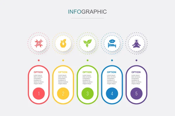 Biyohack Organik Gıda Detoks Sağlıklı Uyku Meditasyon Ikonları Infographic Tasarım — Stok Vektör