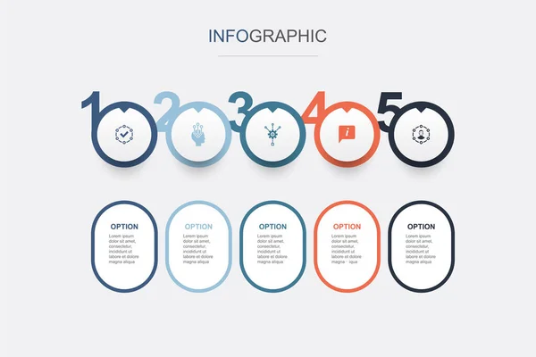 Tatsache Theorie Methode Information Erfahrung Symbole Infografik Design Vorlage Kreatives — Stockvektor