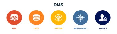 DMS, veri, sistem, yönetim, gizlilik simgeleri Infographic tasarım şablonu. 5 seçenekli yaratıcı konsept