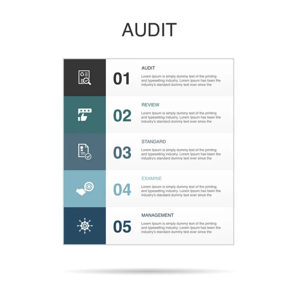 Audit Review Standard Examine Management Icons Infographic Design Template Creative — Stock Vector