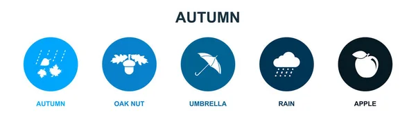 Jesień Orzech Dębowy Parasol Deszcz Ikony Jabłek Infograficzny Szablon Projektu — Wektor stockowy