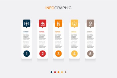Bilgi, beceri, deneyim, kalite simgeleri Infographic tasarım şablonu. 5 seçenekli yaratıcı konsept