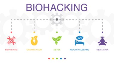 Biyohack, organik gıda, detoks, sağlıklı uyku, meditasyon ikonları Infographic tasarım şablonu. 5 seçenekli yaratıcı konsept