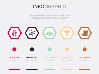 sonbahar simgeleri Infographic tasarım şablonu. 5 adımlı yaratıcı kavram