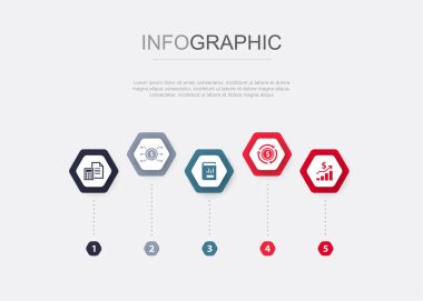 Muhasebe, Varlık, Yıllık Rapor, Net Gelir, Kâr, simgeler Infographic tasarım şablonu. 5 seçenekli yaratıcı konsept
