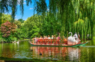Boston, Massachusetts, New England, ABD - 20 Ağustos 2012. Turistler Boston Halk Bahçesi 'ndeki gölde kuğu teknesinde gezintiden keyif alıyorlar.
