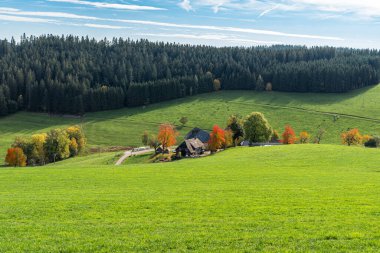 Titisee-Neustadt, Black Forest, Breisgau-Hochschwarzwald, Baden-Wuerttemberg, Almanya yakınlarındaki Jostal 'da sonbahar manzaralı bir çiftlik evi.
