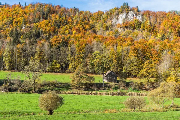 Çayırlı sonbahar ormanı ve Yukarı Tuna Doğa Parkı, Yukarı Tuna Vadisi, Swabian Alb, Baden-Wuerttemberg, Almanya