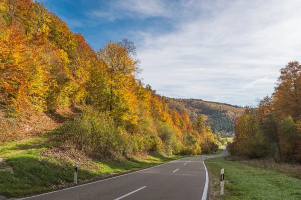 Country Road Autumn Forest Upper Danube Valley Upper Danube Nature — Stock fotografie