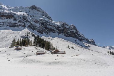 Appenzell Alpleri 'nde, Schwaegalp' te, Appenzell Ausserrhoden 'da, İsviçre' de kardaki ahşap kulübeler.