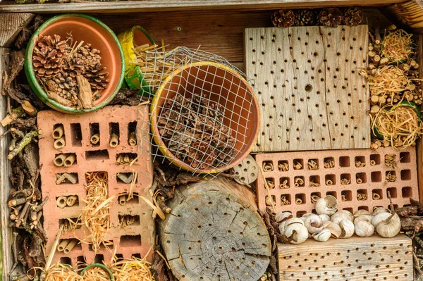 Close-up of an insect hotel, bug hotel, shelter for insects, Canton Thurgau, Switzerland