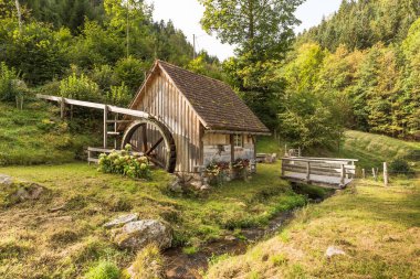 Güney Kara Orman, Hornberg, Ortenau, Kara Orman, Baden-Wuerttemberg, Almanya 'daki tarihi su değirmeni