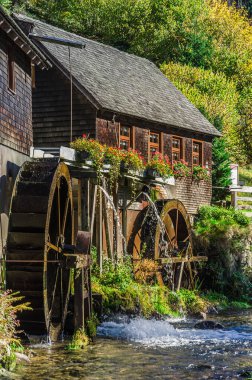 Furtwangen, Baden-Wuerttemberg, Almanya - 13 Ekim 2017. Hexenlochmuehle, Hexenloch Mill, Kara Orman 'da iki su tekerleği olan geleneksel su değirmeni.