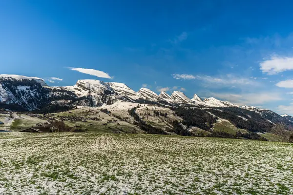 İsviçre Alpleri, Toggenburg, Wildhaus, Canton St. Gallen, İsviçre 'deki karlı Churfirsten dağlarına uzanan bir çayıra bakın.