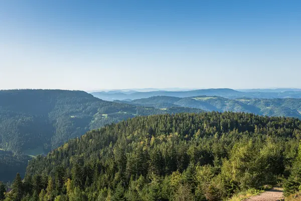 Black Forest High Road, Seebach, Black Forest National Park, Baden-Wuerttemberg, Almanya