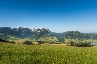 Saentis ve Altmann, Appenzell Innerrhoden Kantonu, İsviçre ile Alpstein Dağları manzaralı çayır