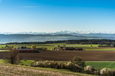 Rural landscape in Thurgau, view to the Swiss Alps, Herdern, Canton of Thurgau, Switzerland clipart