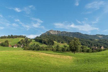 Çiftlik ve çayır manzarası, Rigi, Kuessnacht, Schwyz Kantonu, İsviçre manzarası