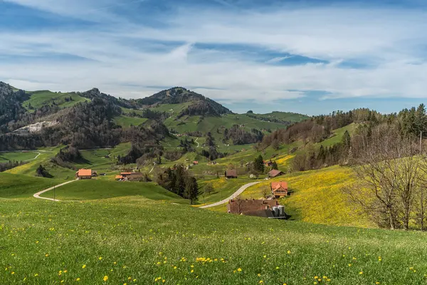 stock image Hilly landscape in the Appenzellerland with farm houses and dandelion meadows in spring, Canton of Appenzell Innerrhoden, Switzerland