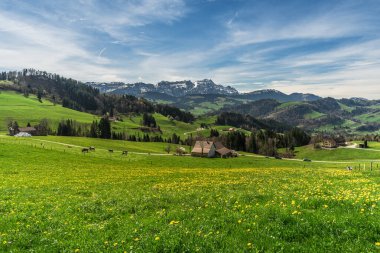 İlkbaharda Appenzell Alplerinde manzara, Saentis, Appenzellerland, Appenzell Innerrhoden Kantonu, İsviçre ile Alpstein dağlarına uzanan karahindiba çayır manzarası.