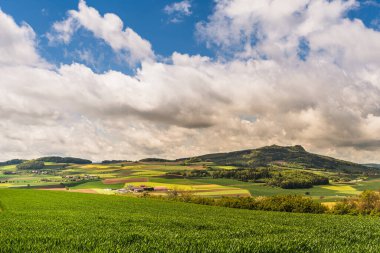 Çayırlı ve tarlalı Hegau manzarası, Hohenstoffeln, Hilzingen, Baden-Wuerttemberg, Almanya