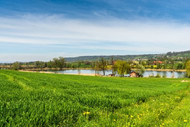 Idyllic rural landscape at lake Hasensee in Seebachtal in the Canton of Thurgau near Lake Constance, Uesslingen-Buch, Seebachtal, Switzerland clipart