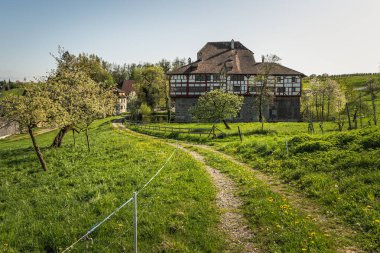 Hagenwil Kalesi 'nde yürüyüş yolu olan bahar manzarası Amriswil yakınlarındaki bir kale, Thurgau Kantonu, İsviçre