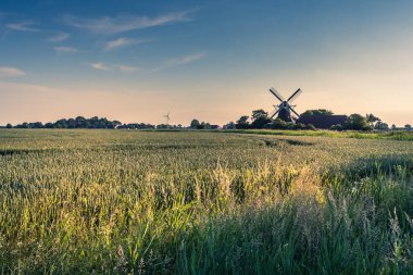 Seriemer Mill, kırsal alanda geleneksel yel değirmeni, Neuharlingersiel, Doğu Frizya, Aşağı Saksonya, Almanya