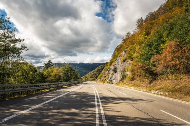 Feldberg pass road in autumn, Black Forest, Baden-Wuerttemberg, Germany