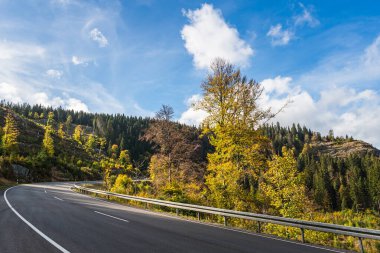 Feldberg pass road in autumn, Black Forest, Baden-Wuerttemberg, Germany