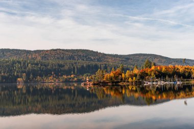 Autumn atmosphere at Schluchsee in the Black Forest, trees reflected in the calm water of the lake, Baden-Wuerttemberg, Germany clipart