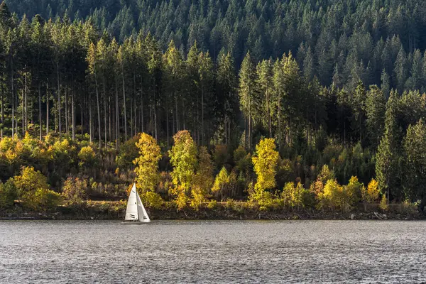 Stock image Autumn at Schluchsee lake in the Black Forest, a small sailboat sails along the shore, Baden-Wuerttemberg, Germany