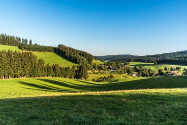 Kara Orman 'da itiş kakış, çiftlik evleri, Titisee-Neustadt, Baden-Wuerttemberg, Almanya